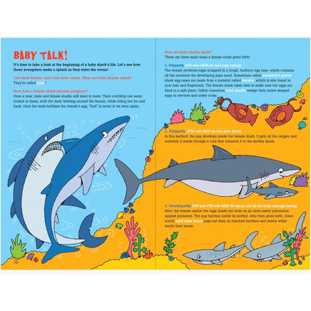 100 Questions about sharks - ToyTime