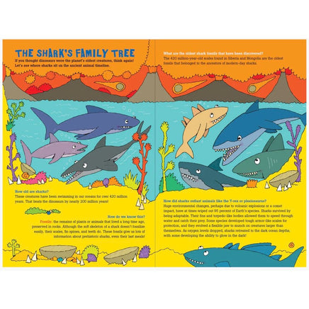 100 Questions about sharks - ToyTime