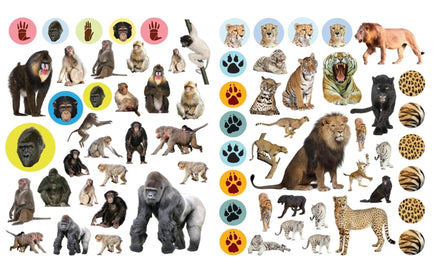 400 Reusable Stickers Wild Animal - ToyTime