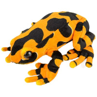 8" Poison Dart Frog Plush - ToyTime