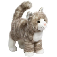 Zipper Grey Tabby Cat 1866