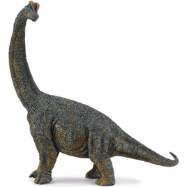 Brachiosaurus...@Breyer