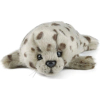 Common seal pup an357