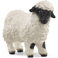 Valais black nosed sheep 13965