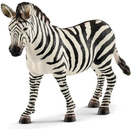 Female Zebra 14810