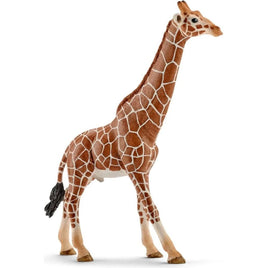 Giraffe Male 14749