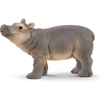 Baby Hippopotamus 14831
