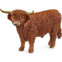 Highland Bull 13919