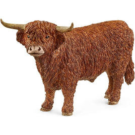 Highland Bull 13919