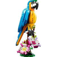 Exotic parrot 31136