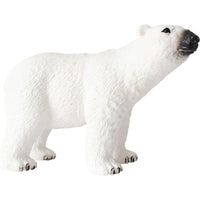 Animal adventure polar bear