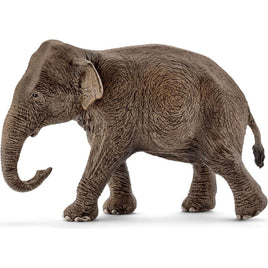 Asian Elephant Female 14753