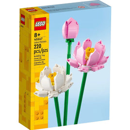 Lotus flowers 40647