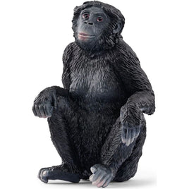 Bonobo female 14875
