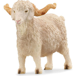 Angora Goat 13970