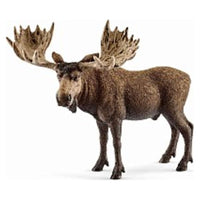 Moose Bull 14781
