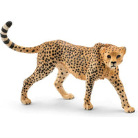Cheetah Female 14746