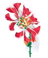 Solar Flower Ruby Ripple
