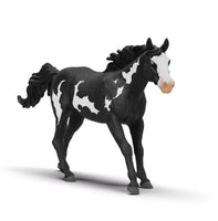Paint Horse Gelding 14900