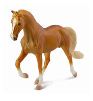 Tennessee Walking Horse Stallion Golden Palomino