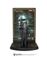 WW Harry Potter Collector Blind Box
