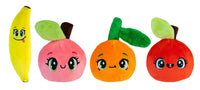 Fruit Sqweezz Assortment