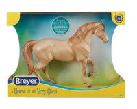 Champagne Quarter Horse Cross