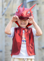 The All Day Everyday Dragon Vest