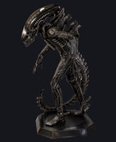 Alien Xenomorph Model Kit