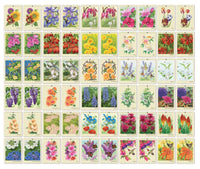 BackYard Garden Flowers Memory Game
