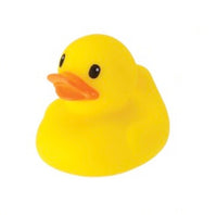 Fun Time Ducks Assortment