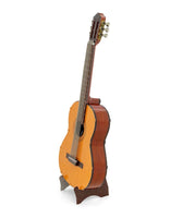 Classical Guitar Metal Earth