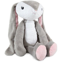 Adventure Pal Bethany Bunny - ToyTime