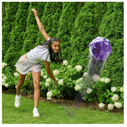 Aerobie Sonic Bounce Purple - ToyTime