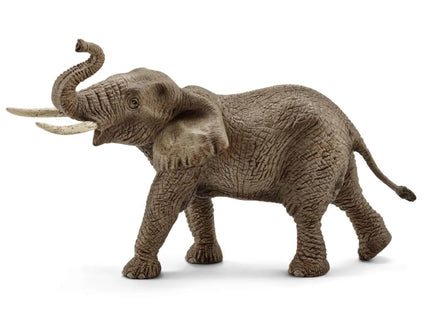 African Elephant, Male 14762 - ToyTime