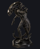 Alien Xenomorph Model Kit - ToyTime