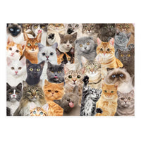 All the Cats 500 Piece Jigsaw Puzzle - ToyTime