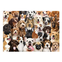 All the Dogs 500 Piece Jigsaw Puzzle - ToyTime