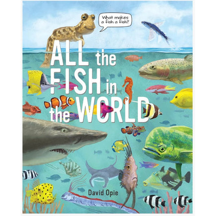 All the fish in the world - ToyTime