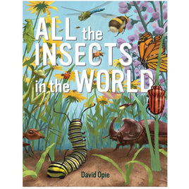 All the insects in the world - ToyTime