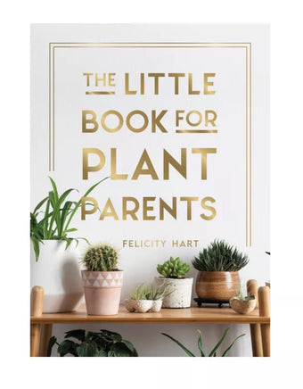 All You Need is Love and A Plant - ToyTime