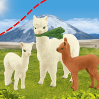 ALPACA SET...@SCHLEICH - ToyTime