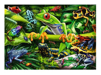 Amazing Amphibians 35pcs Puzzle - ToyTime