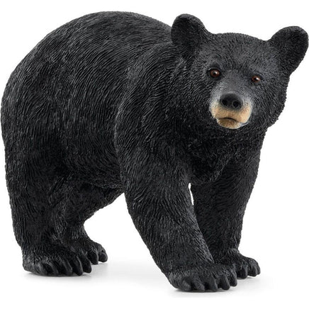 American Black Bear 14869 - ToyTime