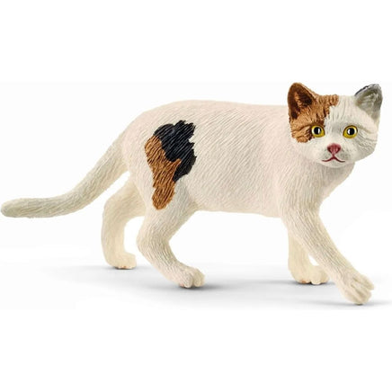 American Shorthair Cat 13894 - ToyTime