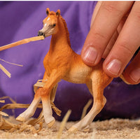 Arabian Foal 13984 - ToyTime