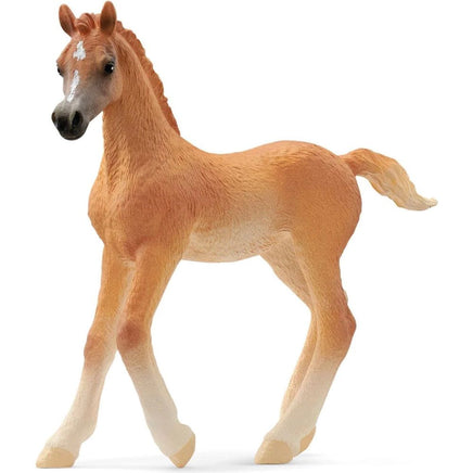 Arabian Foal 13984 - ToyTime