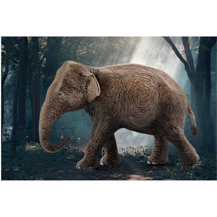 Asian Elephant Female 14753 - ToyTime