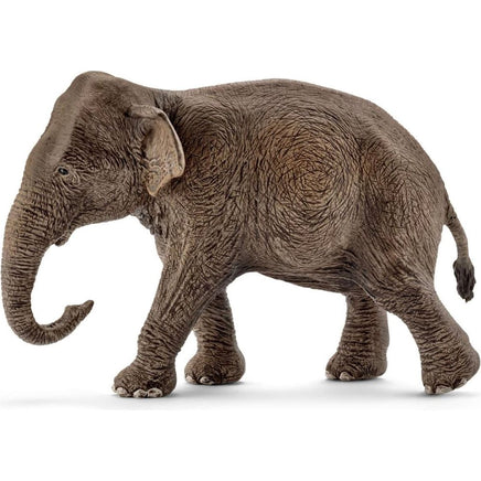 Asian Elephant Female 14753 - ToyTime