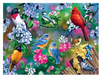 Audubon Songbird Collage 300pc EZGrip Puzzle - ToyTime